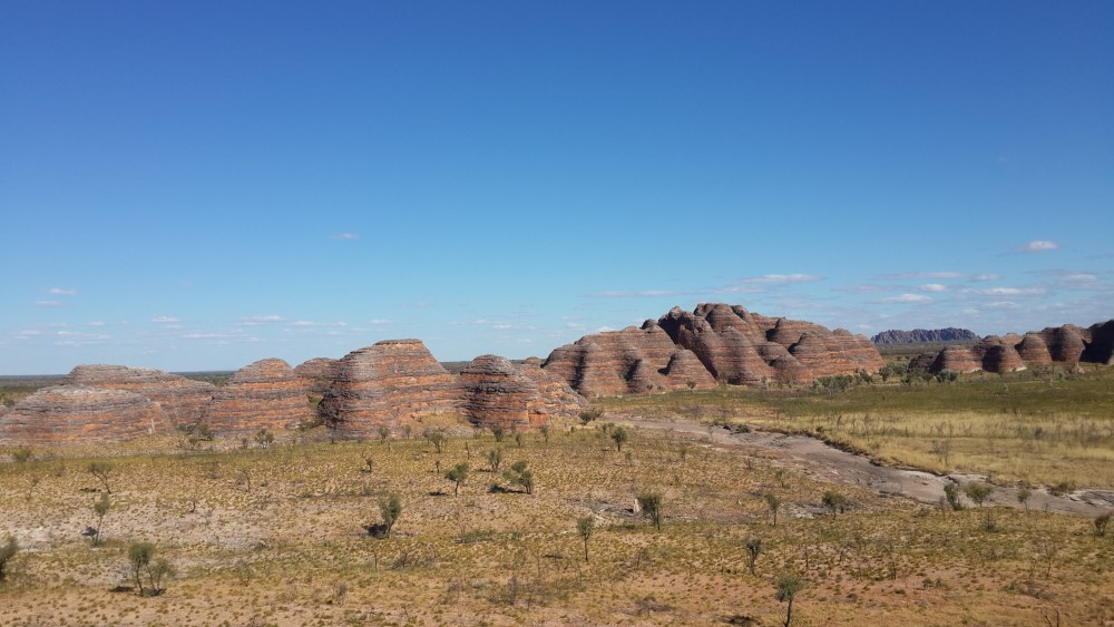 Bungles Bungles