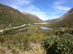 Arthur's Pass