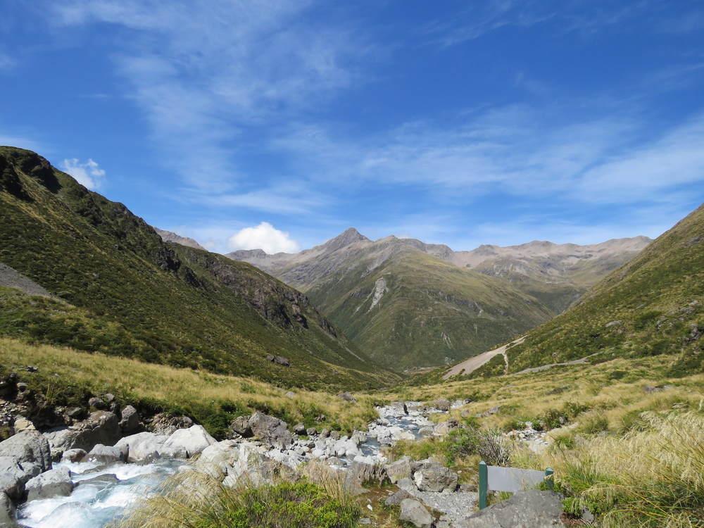 diverse landscape new zealand