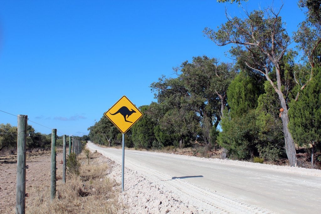 kangaroo road sign