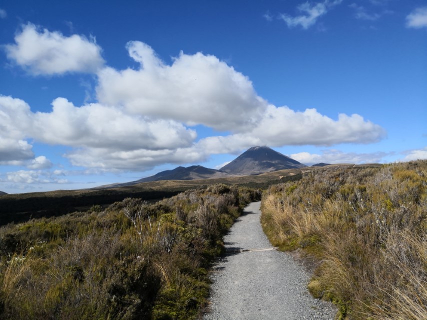 Tongariro