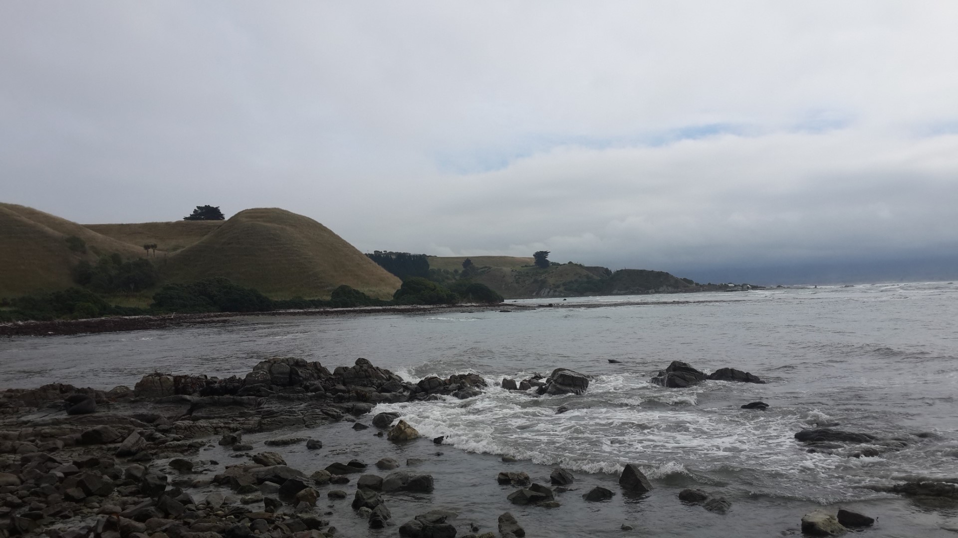 Kaikoura Peninsula