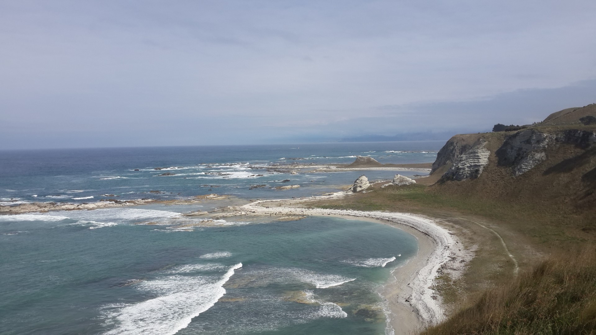 Kaikoura Peninsula