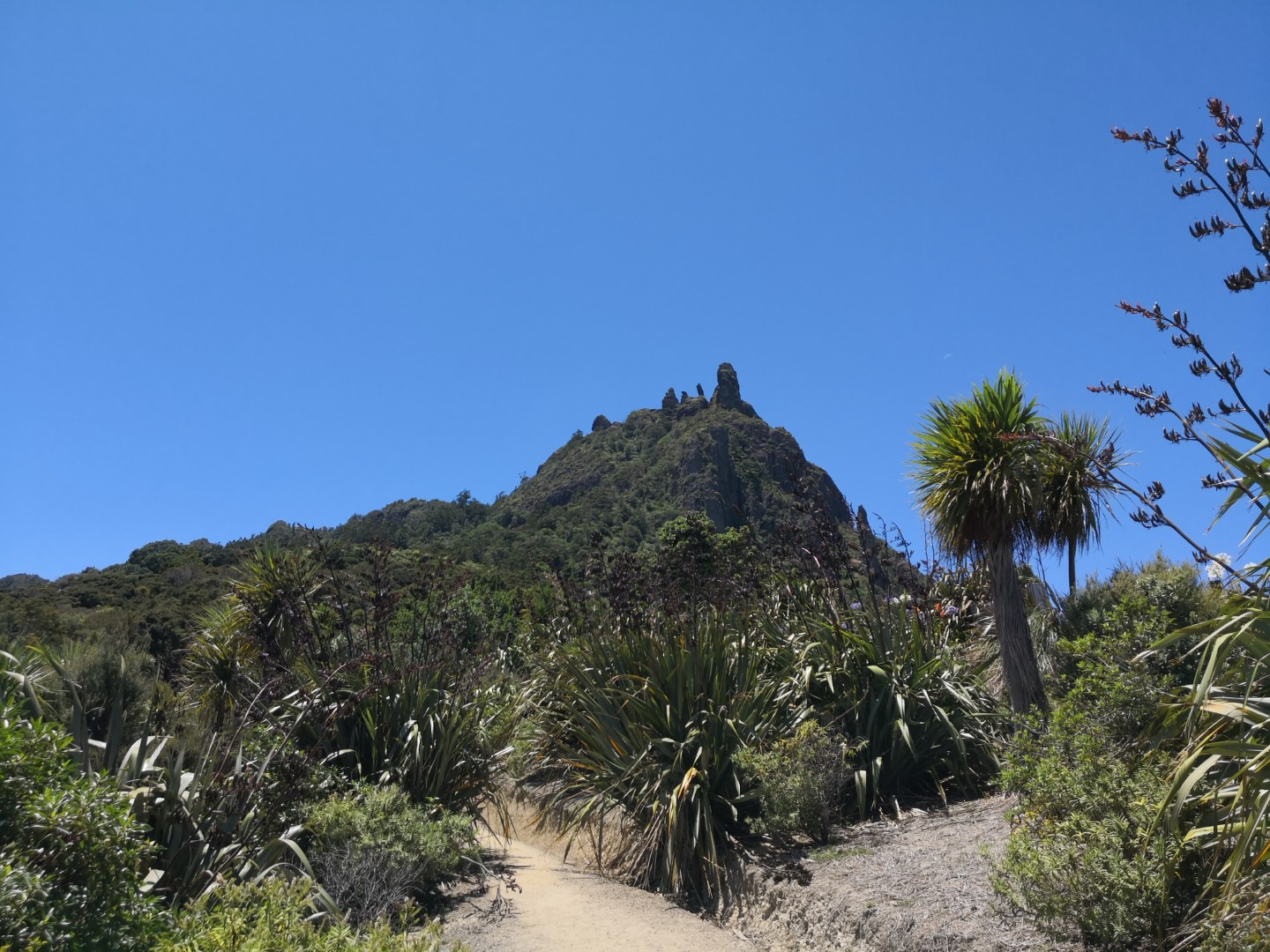 Mount Manaia