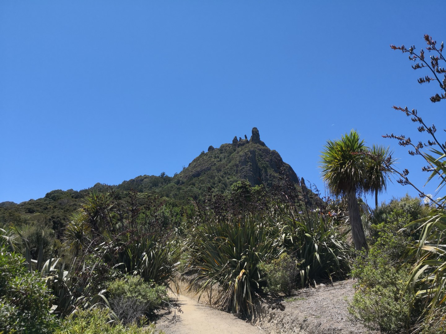 Mount Manaia