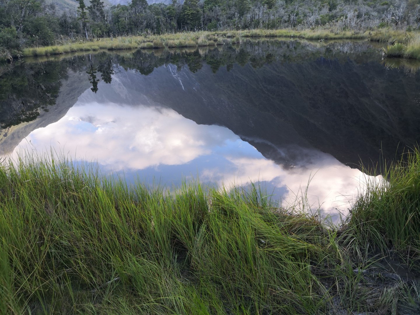 Peter's Pool