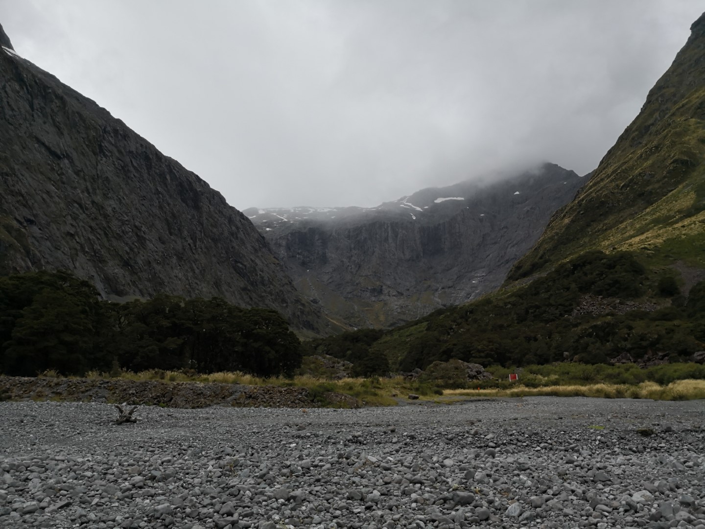 gertrude saddle