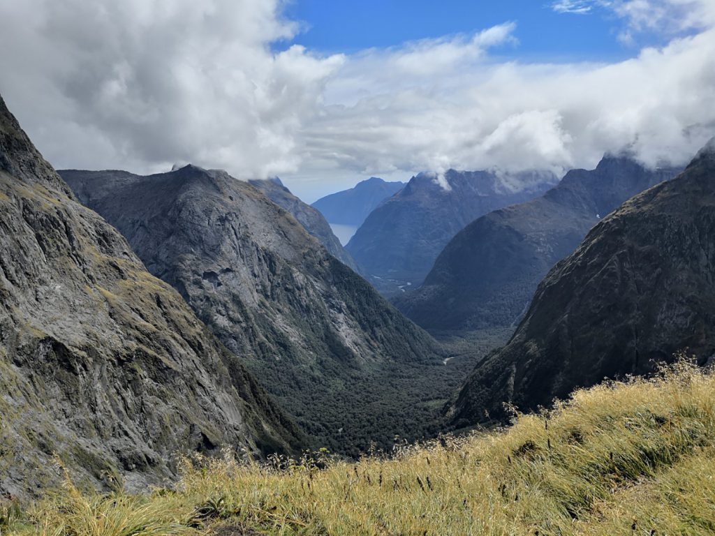 gertrude saddle