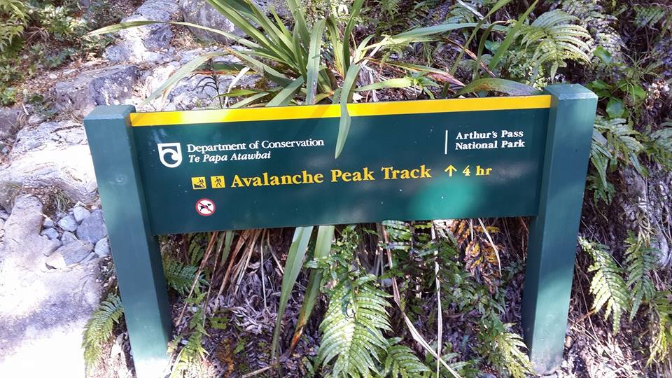 Avalanche Peak