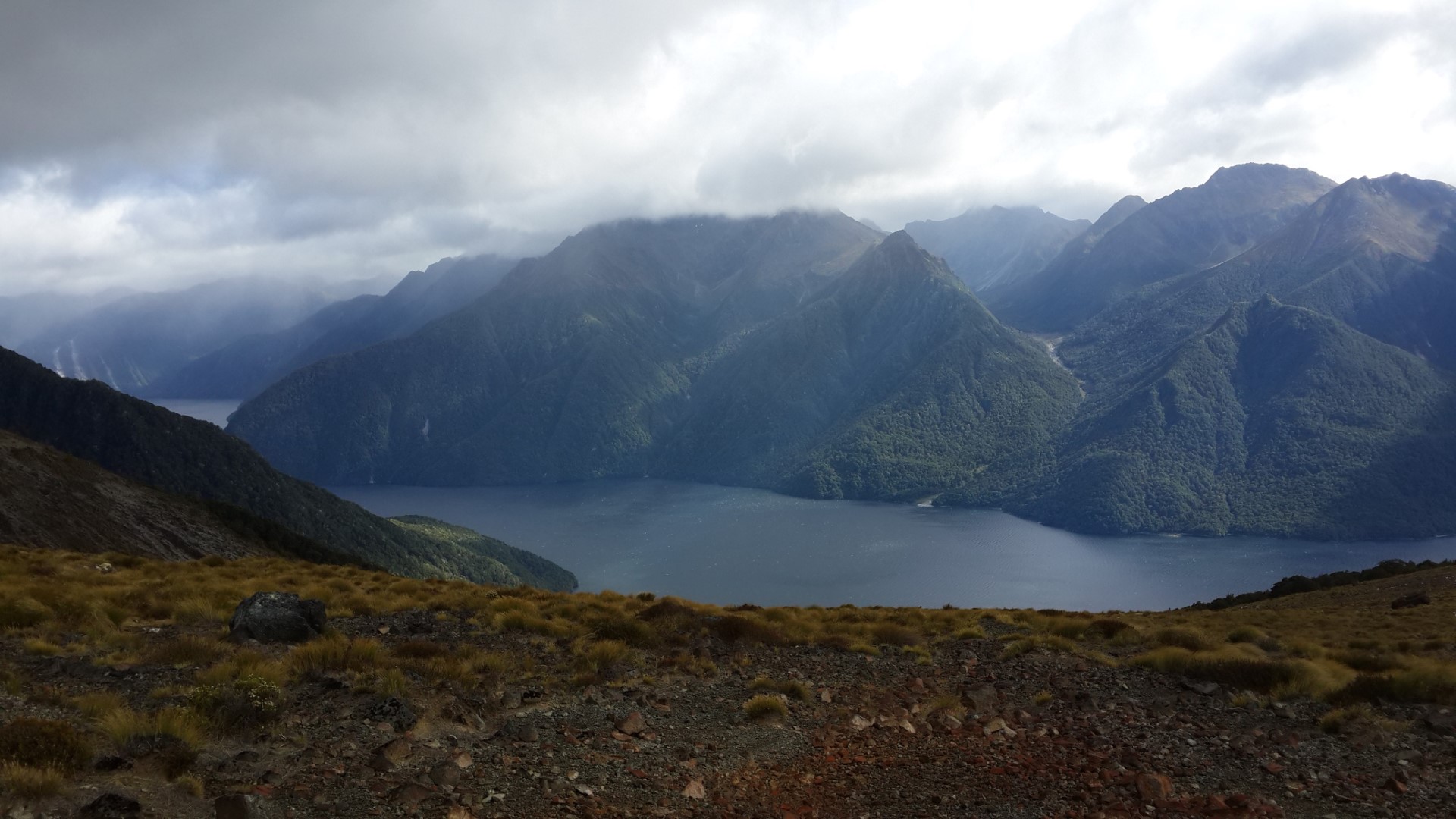 Kepler Track