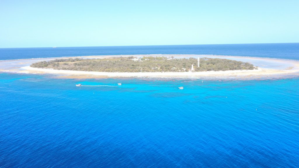 Lady Elliot Island