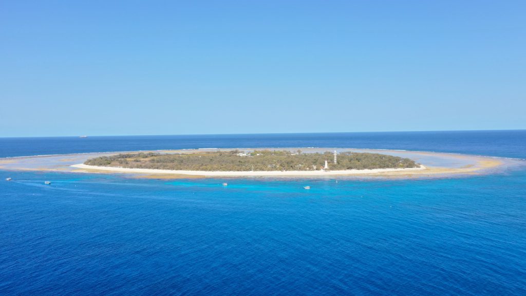 Lady Elliot Island