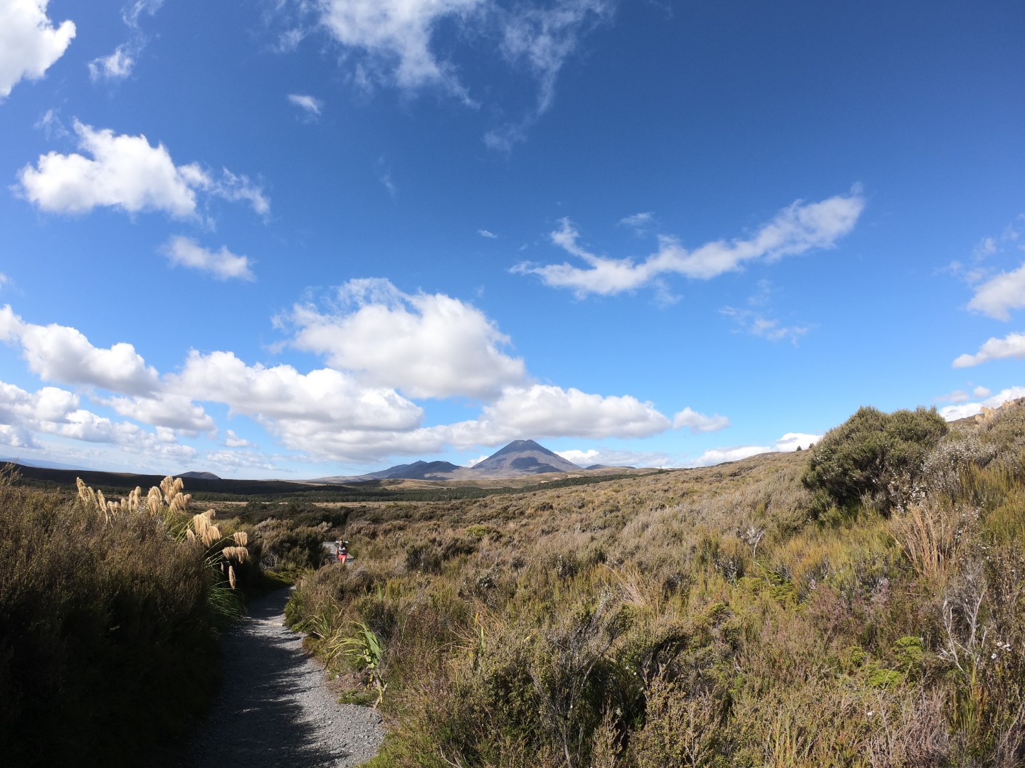 Tongariro Northern Circuit