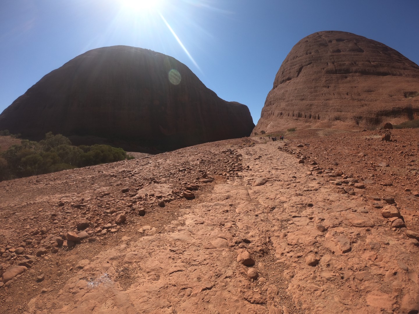 Walpa Gorge