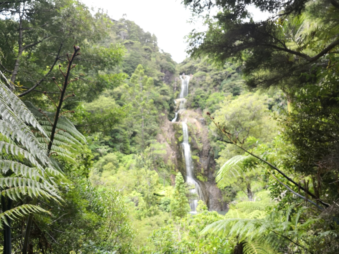 Kitekite Falls