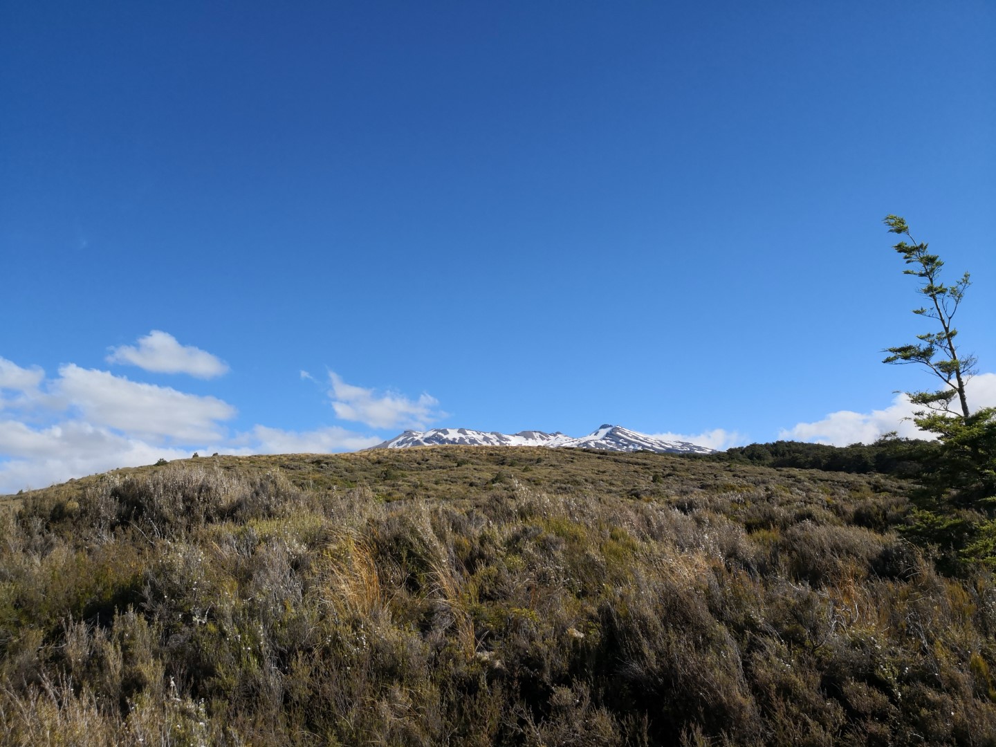 Tongariro Northern Circuit