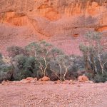 Walpa Gorge