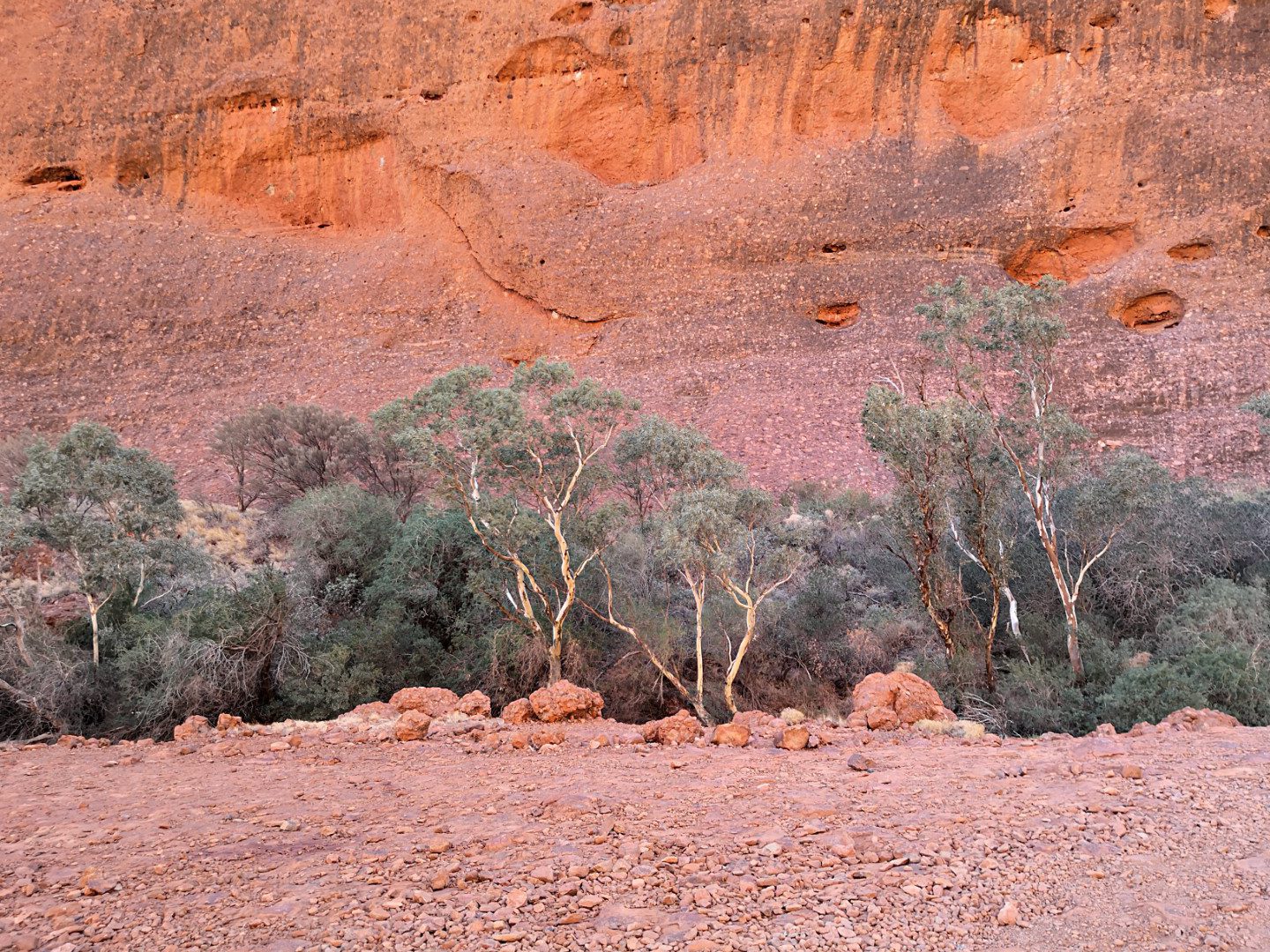 Walpa Gorge