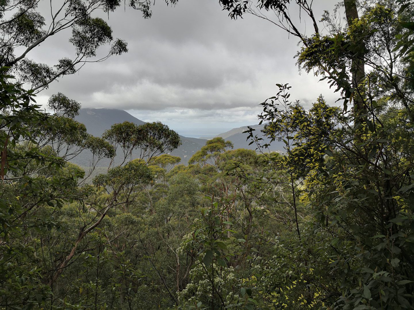 Mount Oberon