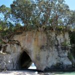 Cathedral Cove Walk