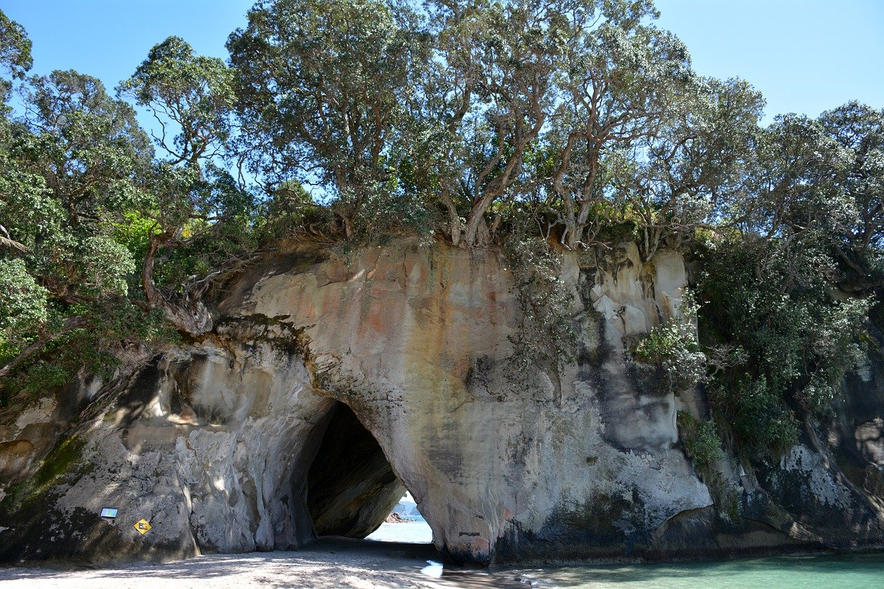 Cathedral Cove Walk