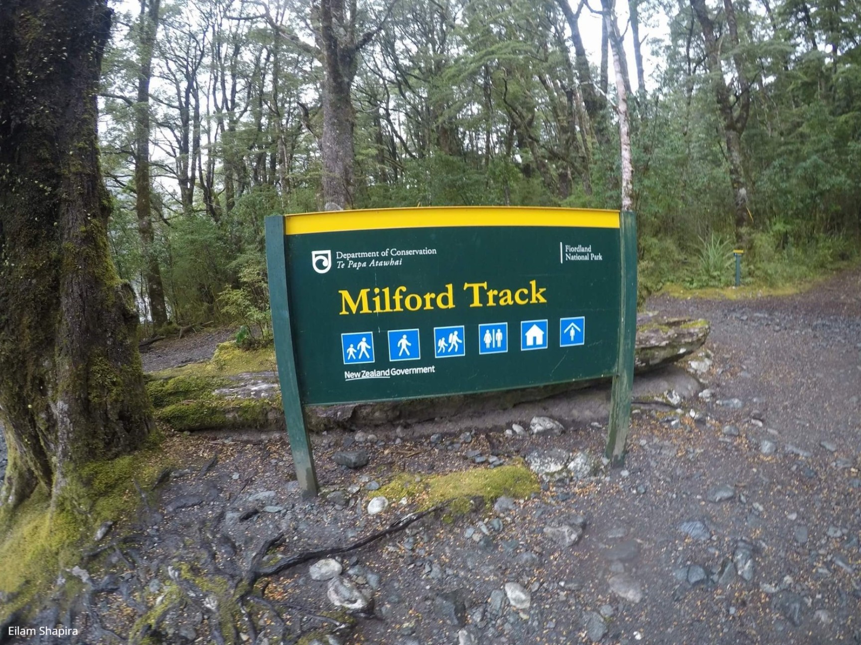 Milford Track