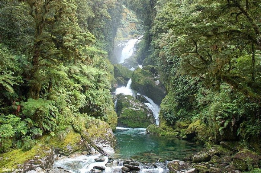 Milford Track