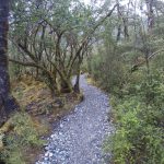 Milford Track