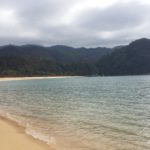 abel tasman