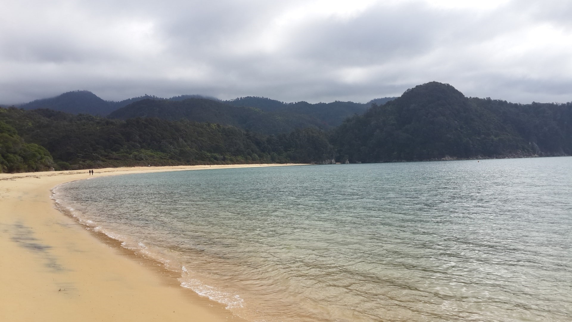 abel tasman