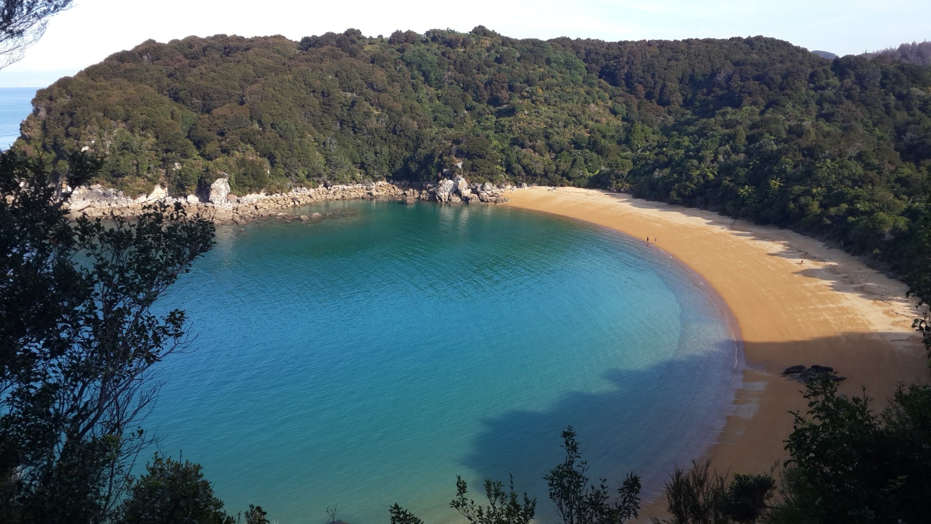 abel tasman