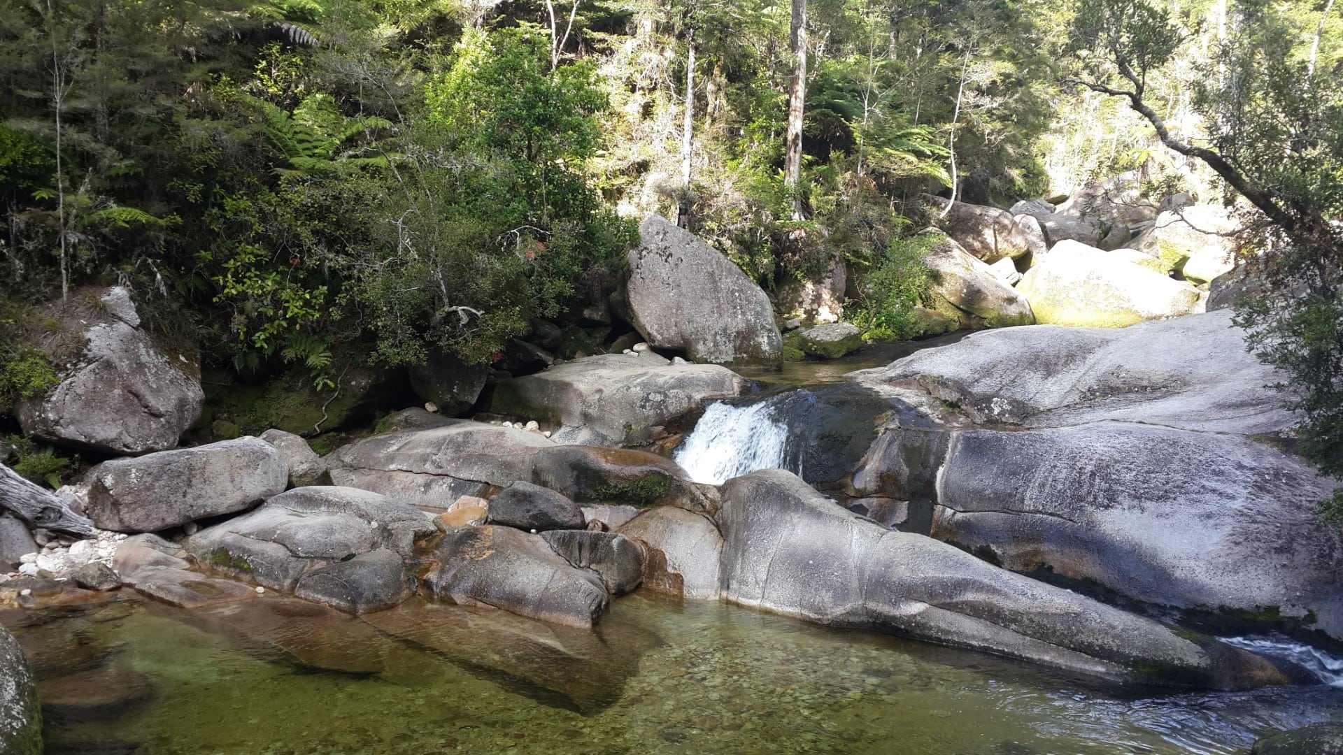 abel tasman