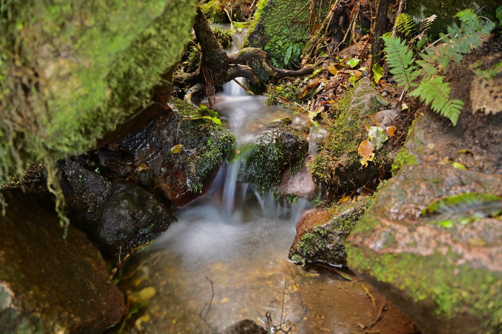 Mount Tauhara