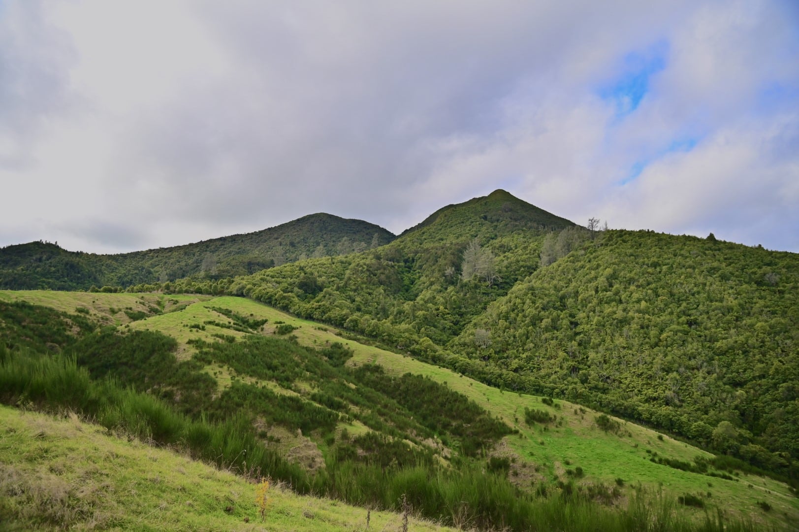 Mount Tauhara