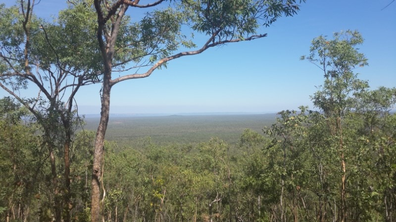 Mirrai Lookout