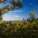 Mirrai Lookout