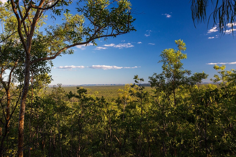 Mirrai Lookout