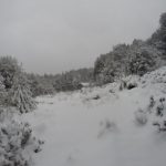 Overland Track