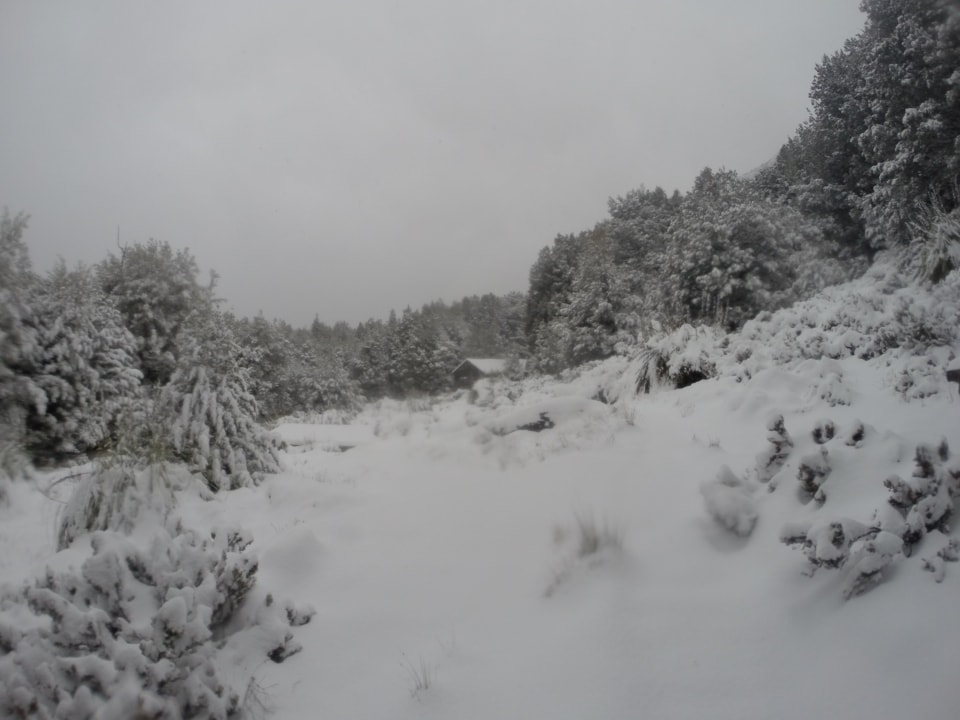 Overland Track