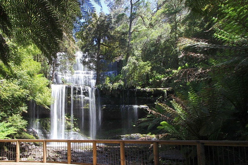 Russell Falls Walk