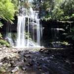 Russell Falls Walk