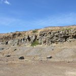 Fossil Cliffs Track