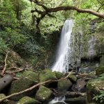 Matai Falls