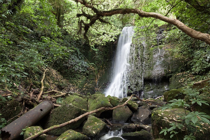 Matai Falls