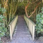 Matai Falls