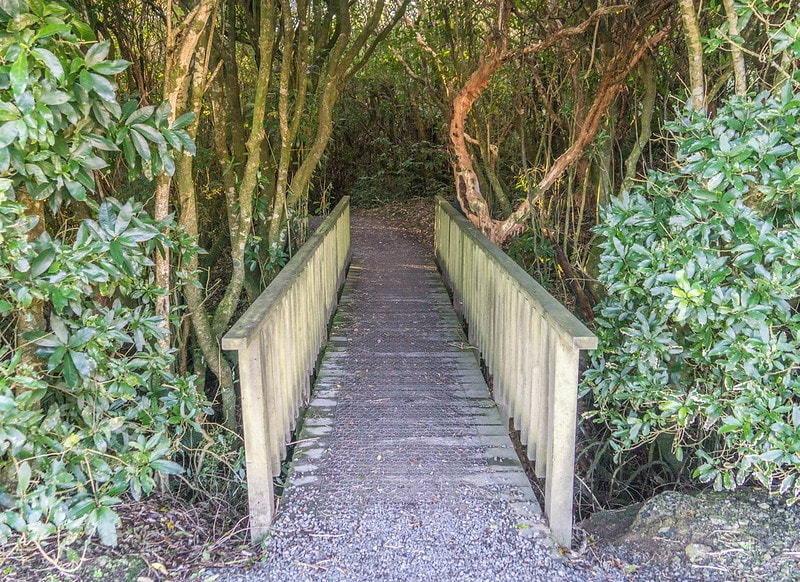 Matai Falls