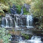 Purakaunui Falls